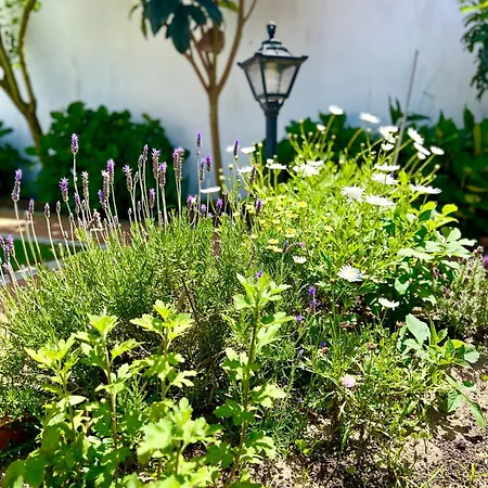 Villaferrel - Beach&waves