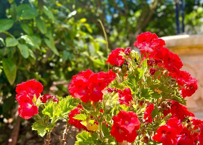 Villaferrel - Beach&waves Ferrel (Leiria)