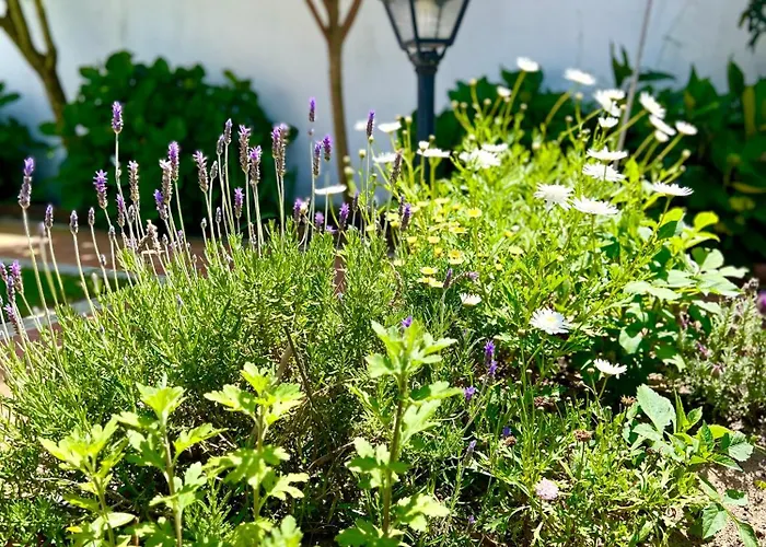 Villaferrel - Beach&waves